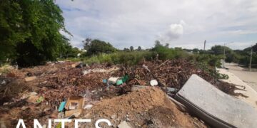 Eliminan basurero clandestino de una hectárea en calles Tancol y Herradura de Tampico