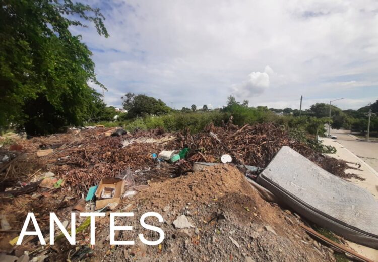 Eliminan basurero clandestino de una hectárea en calles Tancol y Herradura de Tampico