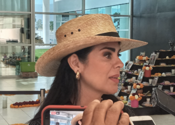 Pide Diputada de San Fernando mayor acción estatal y federal para pacificar la zona