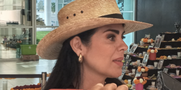 Pide Diputada de San Fernando mayor acción estatal y federal para pacificar la zona