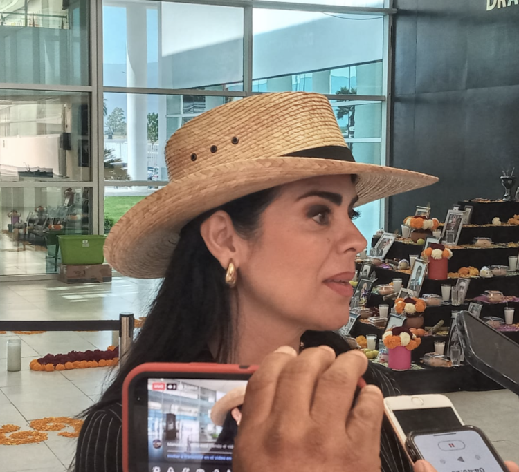 Pide Diputada de San Fernando mayor acción estatal y federal para pacificar la zona