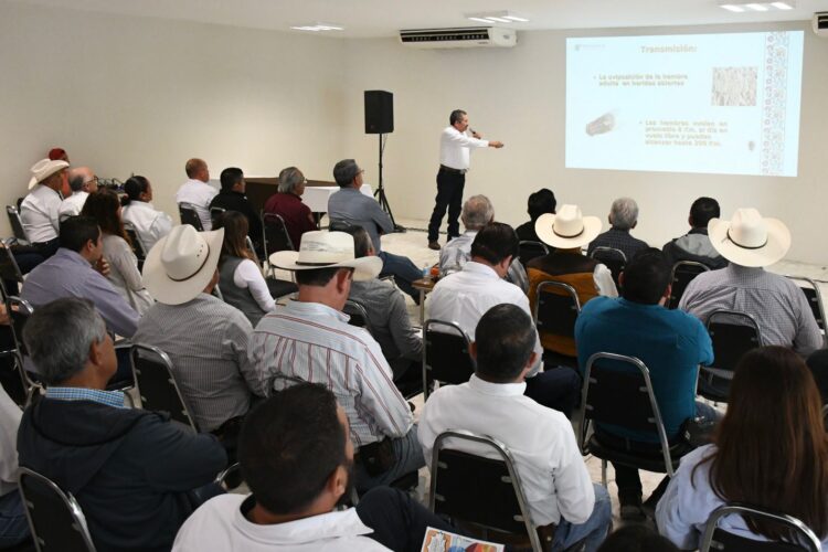 Capacitan a ganaderos para reforzar la prevención del gusano barrenador del ganado en Tamaulipas