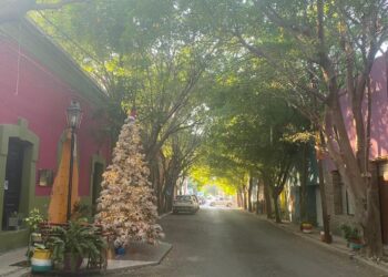 Cd. Victoria empieza mostrar en calles y fachadas de viviendas el espíritu navideño 2024