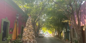 Cd. Victoria empieza mostrar en calles y fachadas de viviendas el espíritu navideño 2024