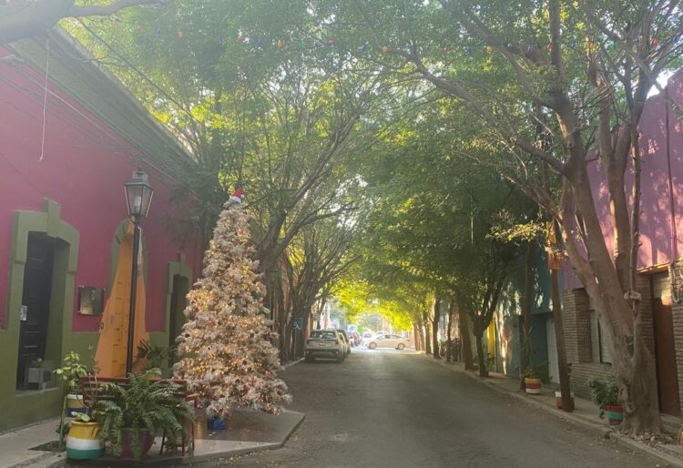 Cd. Victoria empieza mostrar en calles y fachadas de viviendas el espíritu navideño 2024