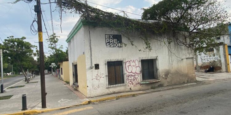 Luces y sombras del Paseo Alameda Francisco I. Madero (El 17) de Cd. Victoria, Tamaulipas