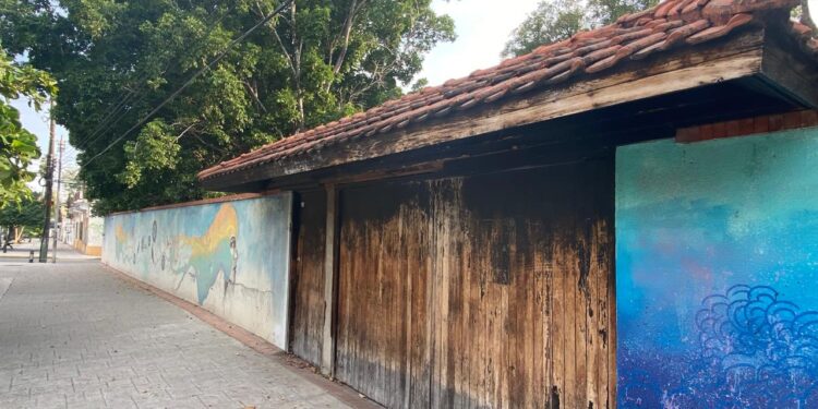 Luces y sombras del Paseo Alameda Francisco I. Madero (El 17) de Cd. Victoria, Tamaulipas