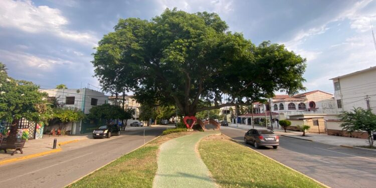 Luces y sombras del Paseo Alameda Francisco I. Madero (El 17) de Cd. Victoria, Tamaulipas