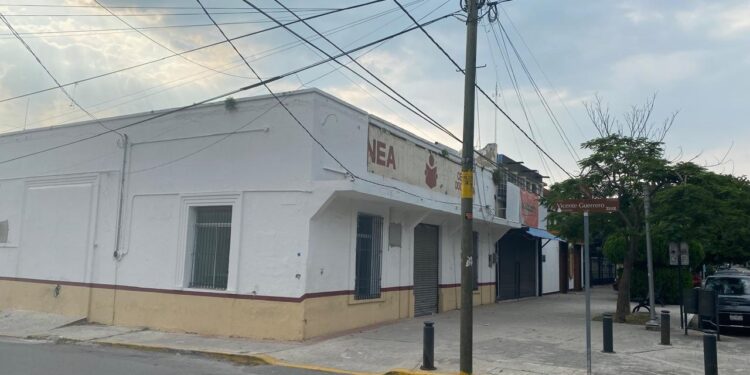 Luces y sombras del Paseo Alameda Francisco I. Madero (El 17) de Cd. Victoria, Tamaulipas