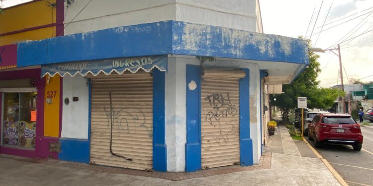 Luces y sombras del Paseo Alameda Francisco I. Madero (El 17) de Cd. Victoria, Tamaulipas