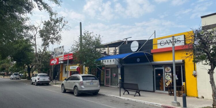 Luces y sombras del Paseo Alameda Francisco I. Madero (El 17) de Cd. Victoria, Tamaulipas