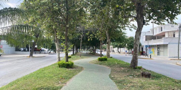 Luces y sombras del Paseo Alameda Francisco I. Madero (El 17) de Cd. Victoria, Tamaulipas