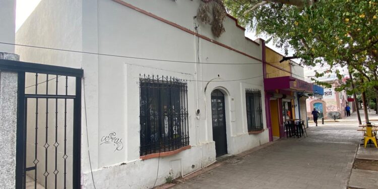 Luces y sombras del Paseo Alameda Francisco I. Madero (El 17) de Cd. Victoria, Tamaulipas