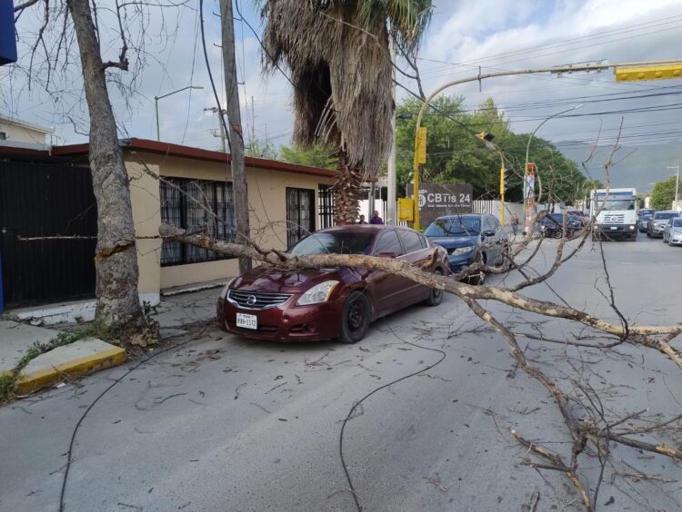 Vientos derriban árbol seco en 21 y 22 Carrera Torres y daña un auto