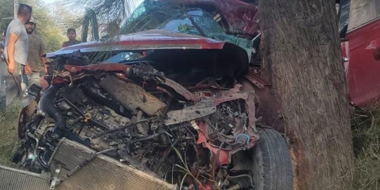 Dos mujeres heridas al estrellar auto contra árbol en ruta Victoria-Monterey