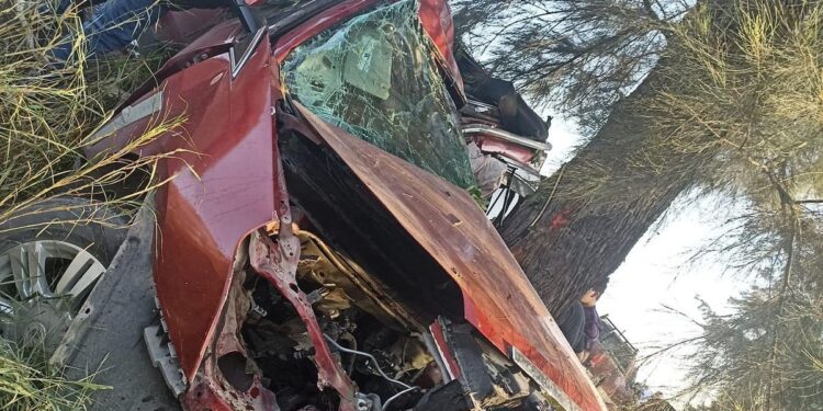 Dos mujeres heridas al estrellar auto contra árbol en ruta Victoria-Monterey