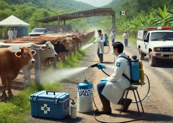 Gusano barrenador de ganado: alerta en México por su presencia cercana en Guatemala