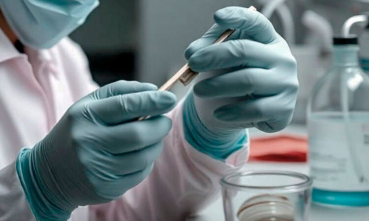 Gripe aviar H5N1 afecta por primera vez a un menor en California