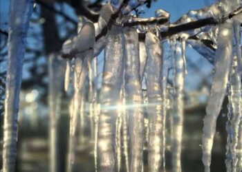 Frente frío 14 trae temperaturas de menos 13 grados a sierra de Chihuahua 