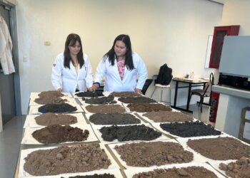 Analiza estudiante de la UAT la presencia de metales pesados en suelos de cultivo citrícola