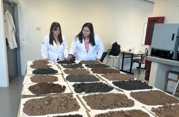 Analiza estudiante de la UAT la presencia de metales pesados en suelos de cultivo citrícola