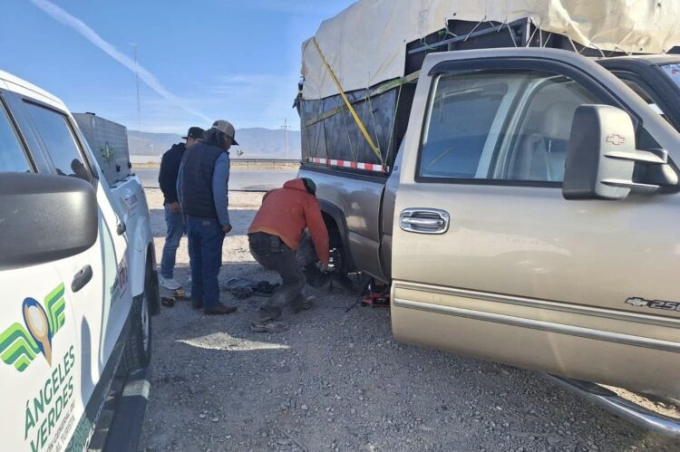 Atiende Turismo Tamaulipas más de cinco mil vehículos de paisanos