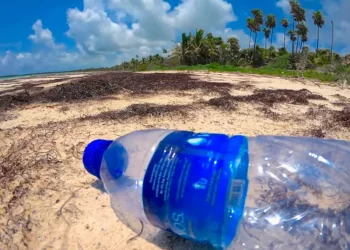 Alertan sobre generación de basura, principalmente plásticos, en fiestas de fin de año