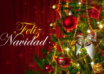Que tengan una grandiosa Noche Buena y Feliz Navidad 2024