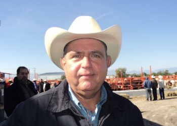 Confía líder nacional de ganaderos en apertura de la frontera de EU a exportación de becerros en breve