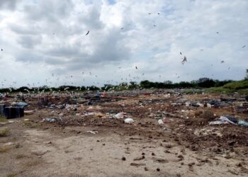 Detecta la Procuraduría Ambiental sitio clandestino de residuos en Camargo, Tamaulipas