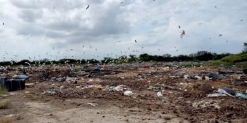 Detecta la Procuraduría Ambiental sitio clandestino de residuos en Camargo, Tamaulipas