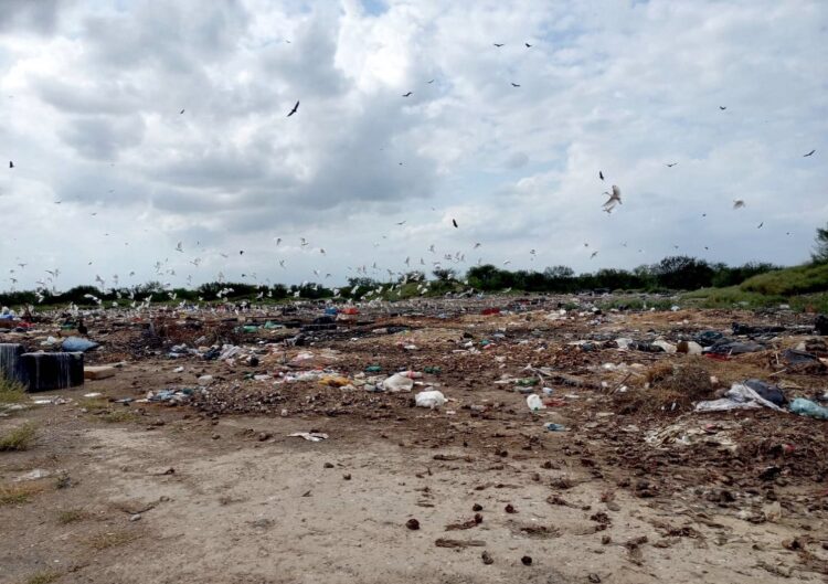 Detecta la Procuraduría Ambiental sitio clandestino de residuos en Camargo, Tamaulipas