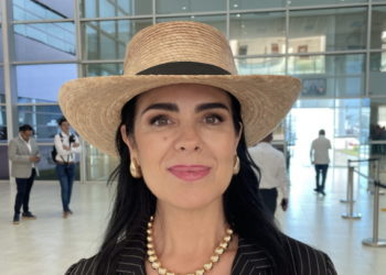 Huye población de San Fernando de la violencia; piden asilo en EU, según Diputada