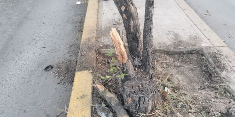 Choca por correlón en la Calzada “Tamatán” de Cd. Victoria