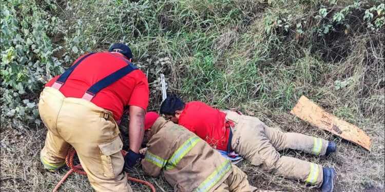 Rescatan a perrito, cayó a alcantarilla