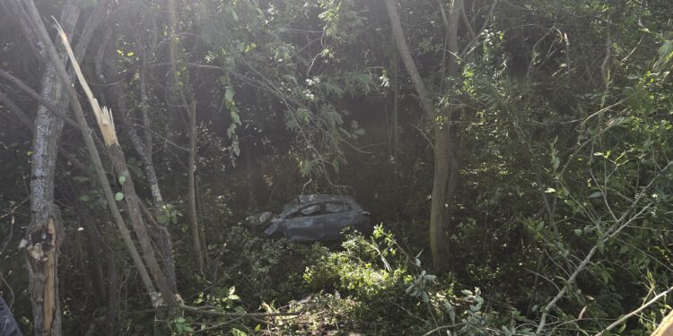 Falla mecánica lo precipita a barranco