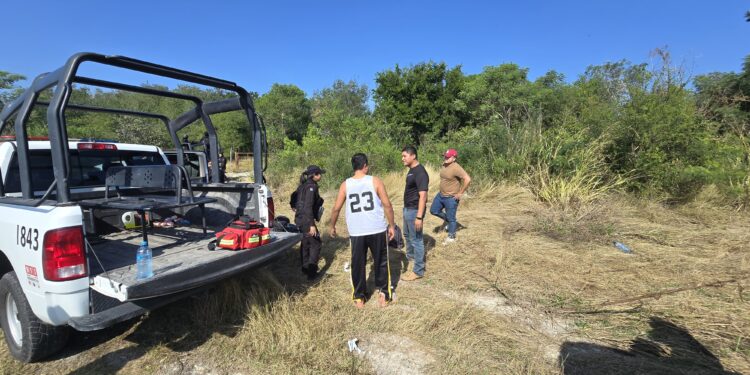 Falla mecánica lo precipita a barranco