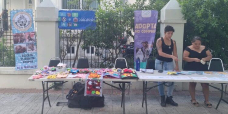 Promueve Municipio de Victoria protección animal