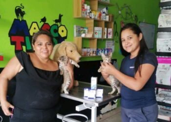 Promueve Municipio de Victoria protección animal