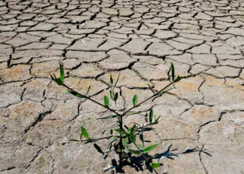 Cumbre ONU promete 12.000 millones para frenar sequía y restaurar tierras