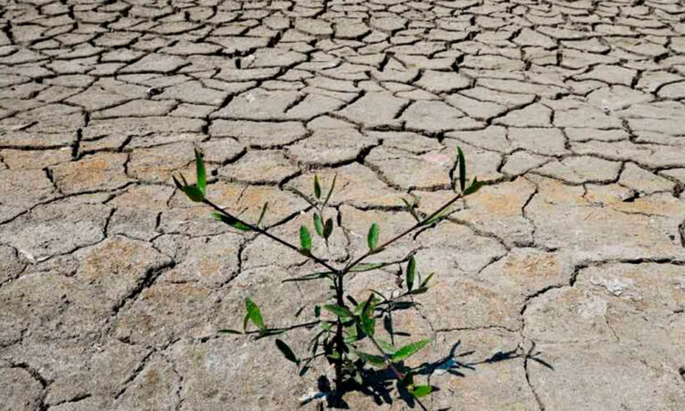 Cumbre ONU promete 12.000 millones para frenar sequía y restaurar tierras