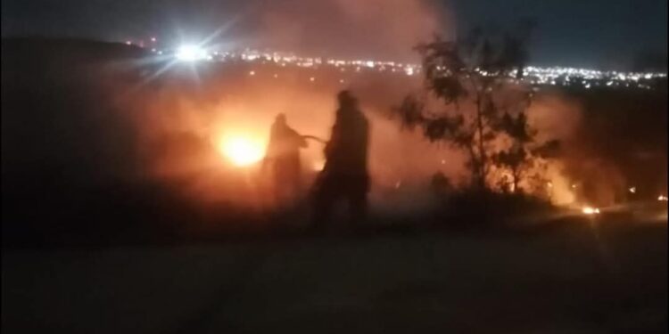 Causan ventarrones caída de árboles, postes y cables en Cd. Victoria