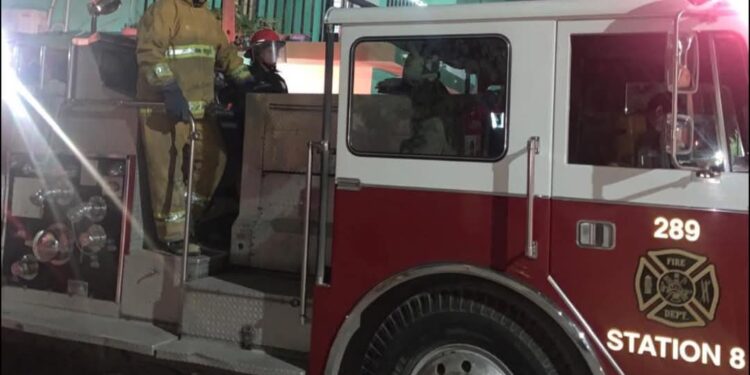 Causan ventarrones caída de árboles, postes y cables en Cd. Victoria