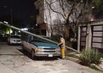 Causan ventarrones caída de árboles, postes y cables en Cd. Victoria