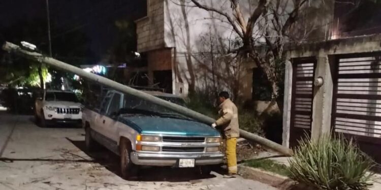 Causan ventarrones caída de árboles, postes y cables en Cd. Victoria