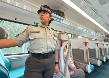 ¿Es el Tren Maya realmente sustentable? Greenpeace lanza dudas