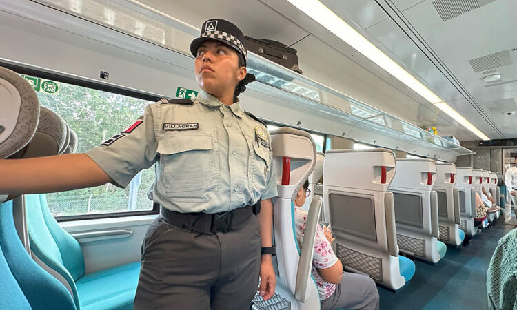 ¿Es el Tren Maya realmente sustentable? Greenpeace lanza dudas