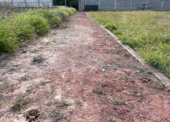 Indagan presuntos ataques de un puma caballos y perros en el ejido “El Olivo” de Victoria