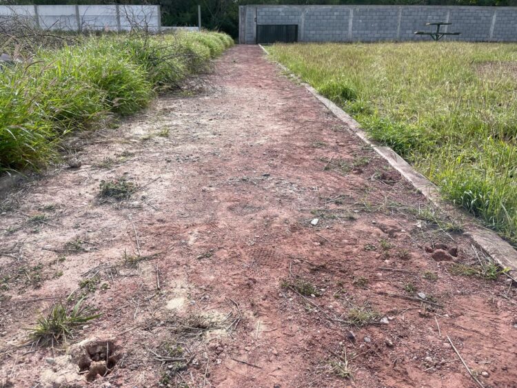 Indagan presuntos ataques de un puma caballos y perros en el ejido “El Olivo” de Victoria