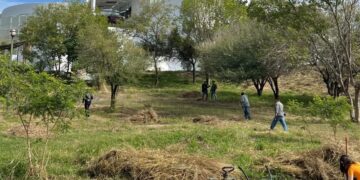 Implementa CPBT acciones contra contaminación visual y accidentes